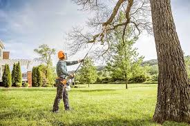 Best Tree Health Inspection  in Stottville, NY